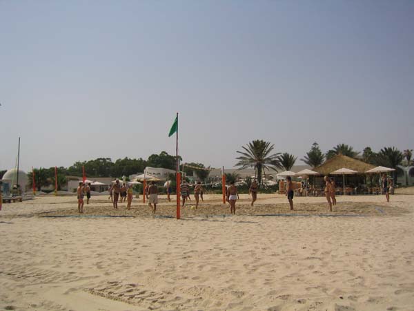 IMG_0529